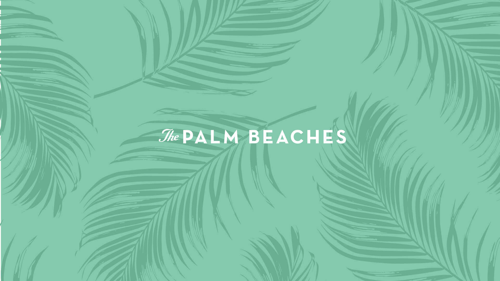 Palm Tran – Public Transportation listing image