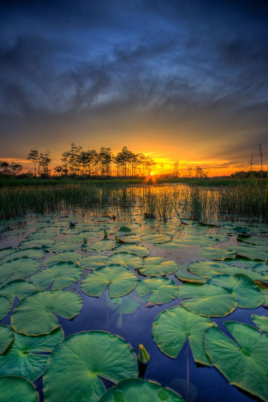 Área natural de Loxahatchee Slough
