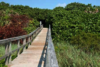 Ocean Ridge