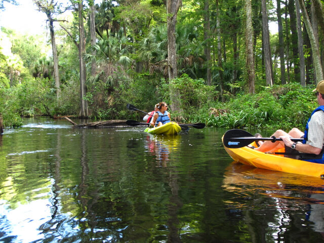 Kayaking Riverbend Park: Discover the Freshwater Oasis of The Palm Beaches