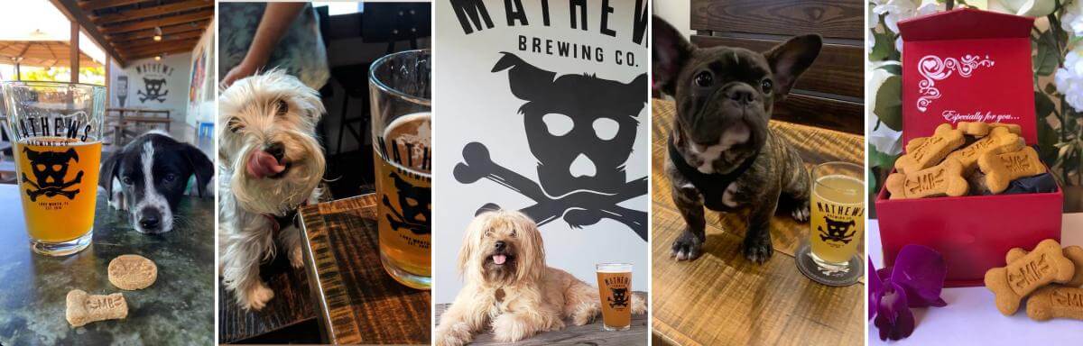 Dogs at Mathews Brewing Co.