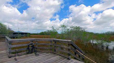 Grassy Waters Preserve 360 tour image