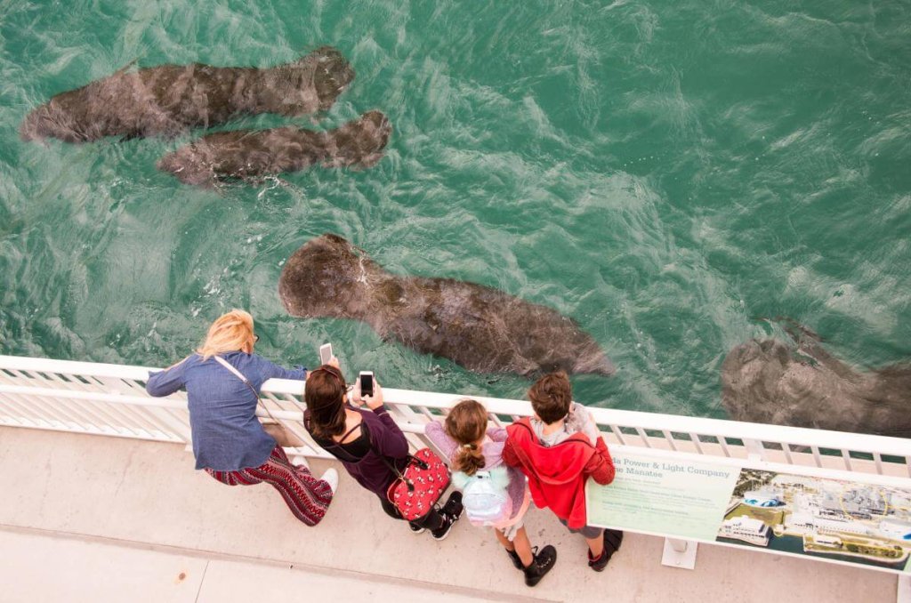 Manatee Lagoon