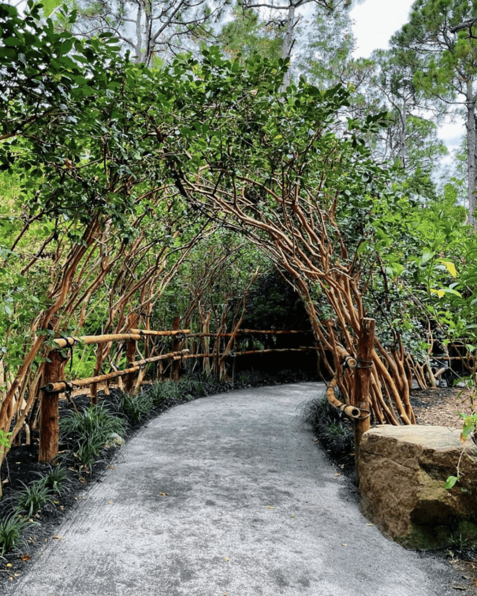Morikami garden