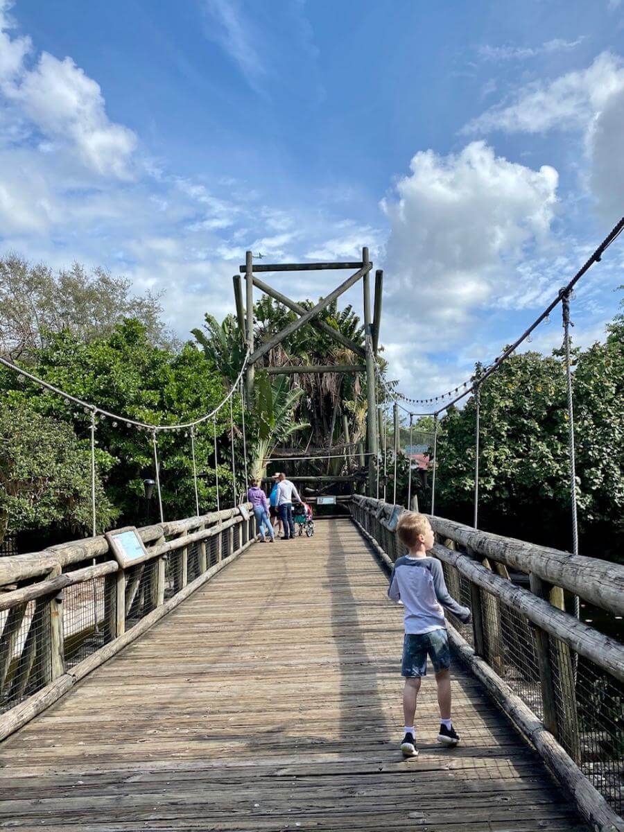 A bridge at the Palm Beach Zoo