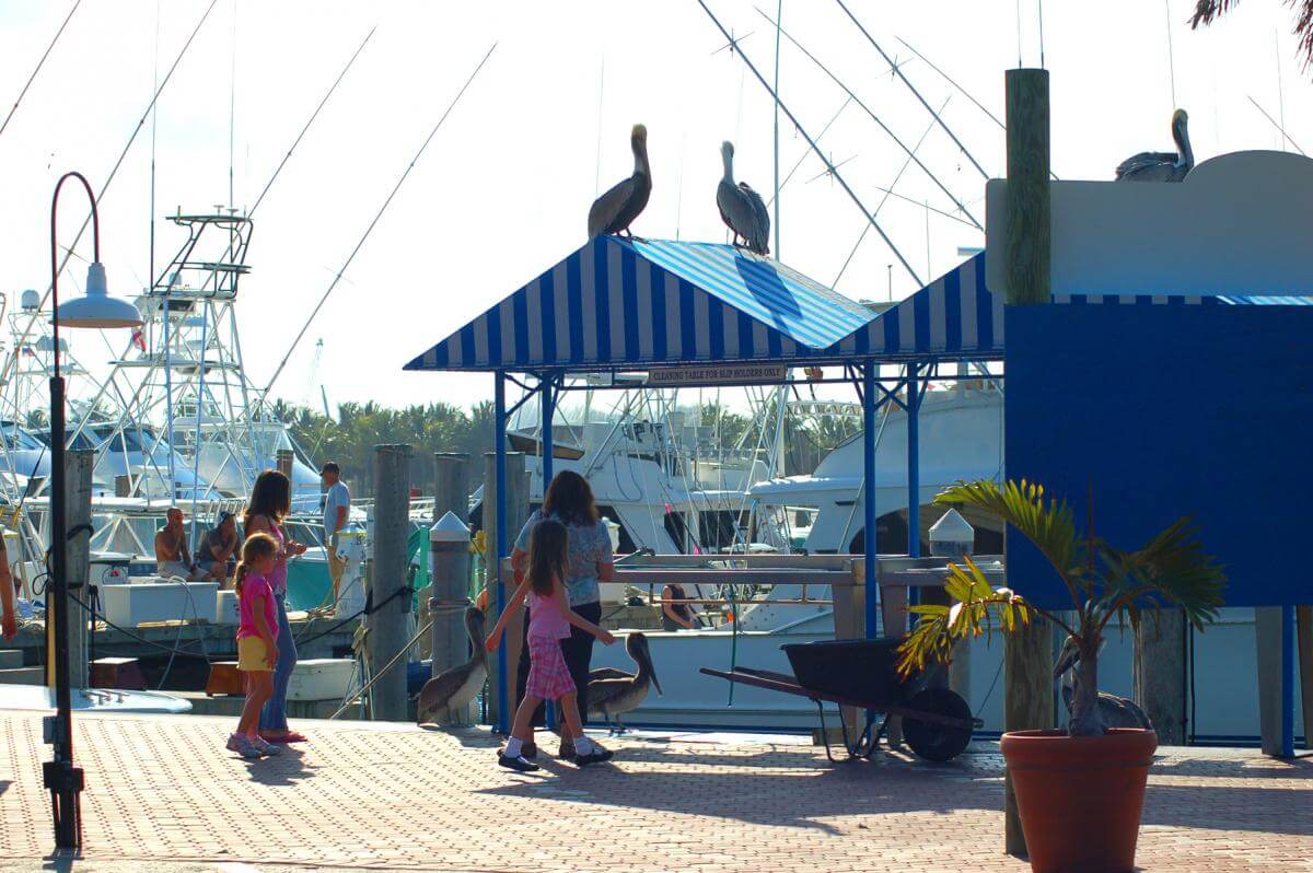 Dockside Dining in The Palm Beaches