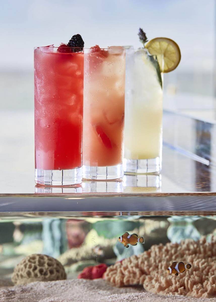 Events Roundup: What to Do This July in The Palm Beaches