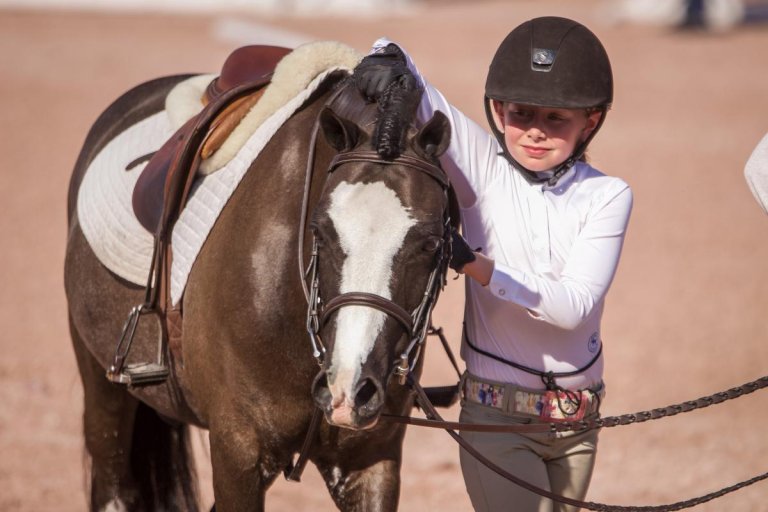 5 Things you MUST do at the Winter Equestrian Festival