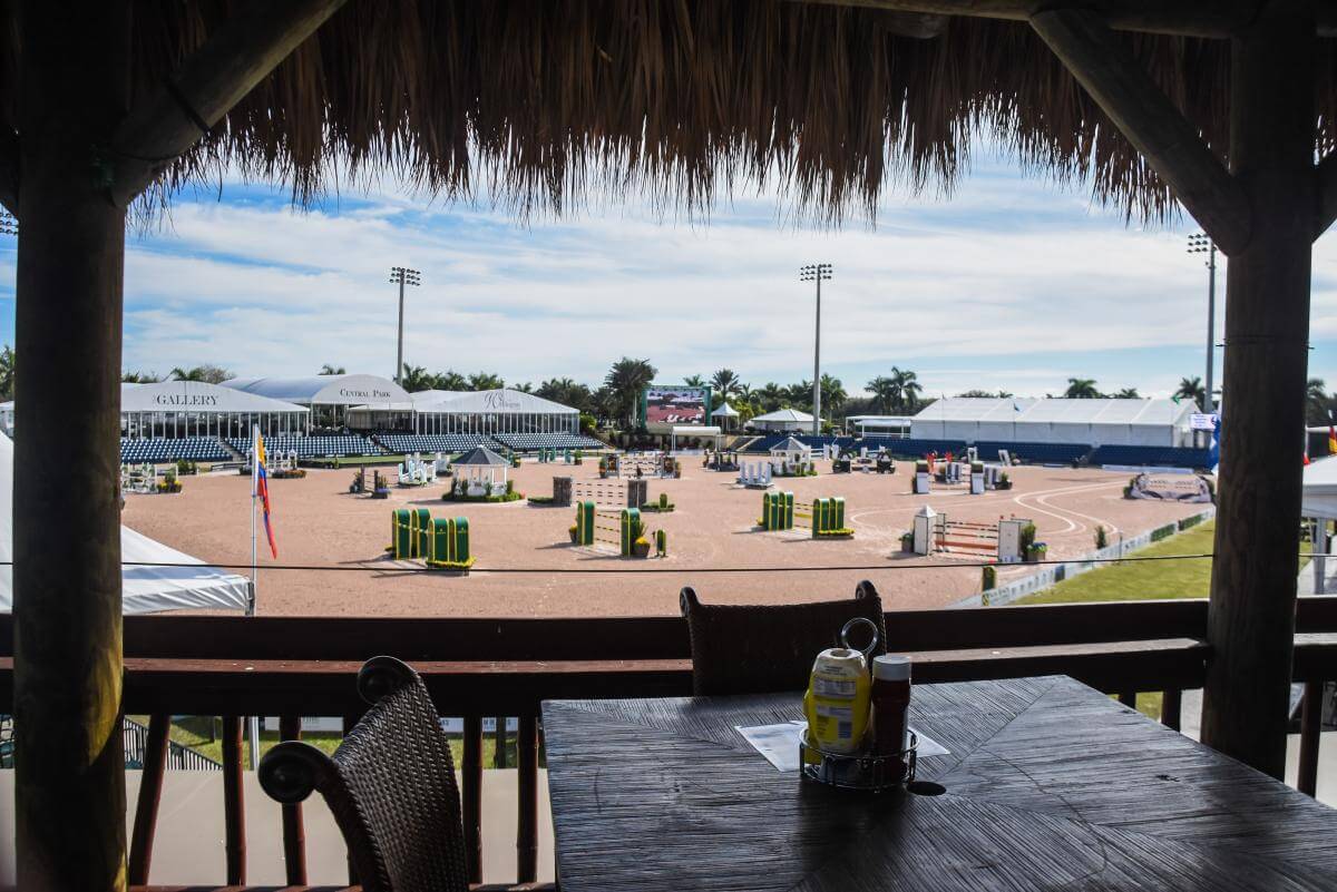 The view of the competition area from The Tiki Hut