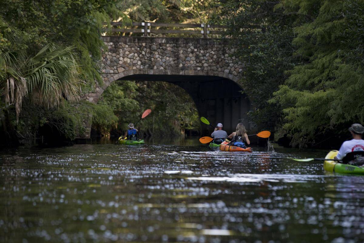 Kayak