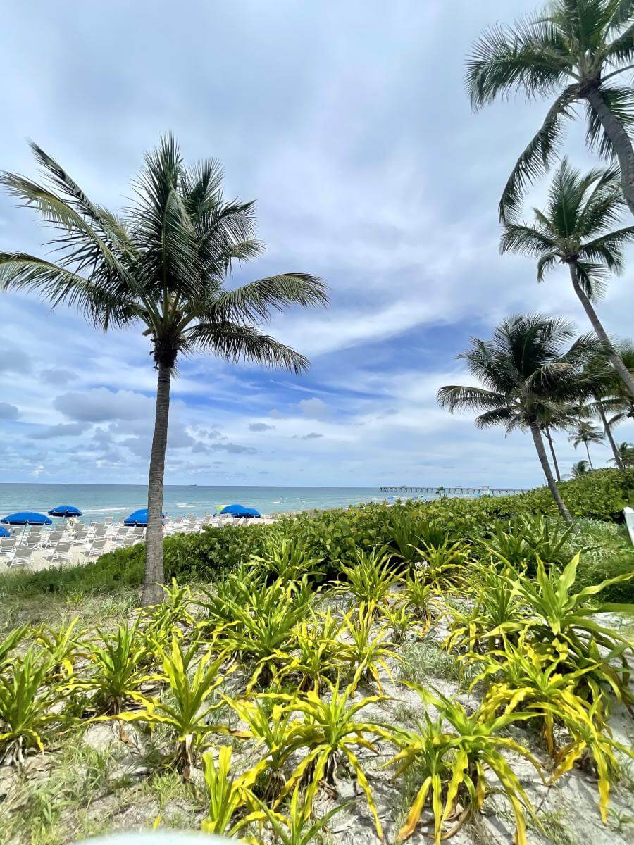 Complejo turístico Tideline