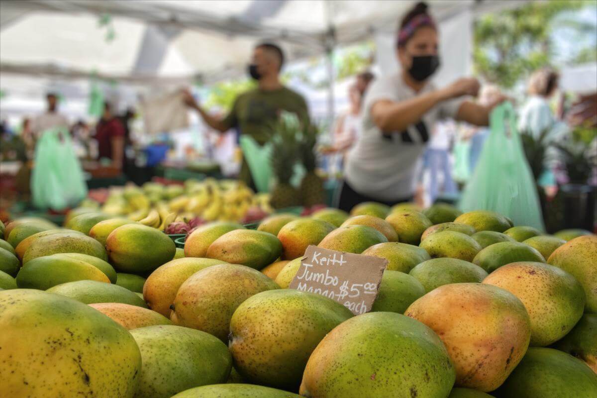 Green Market in West Palm Beach