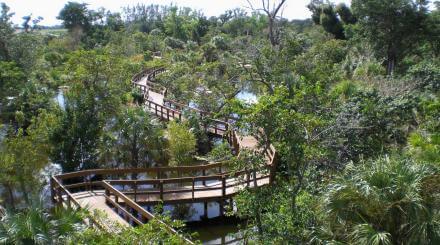 Aerial view of Daggerwing Nature Center boardwalk