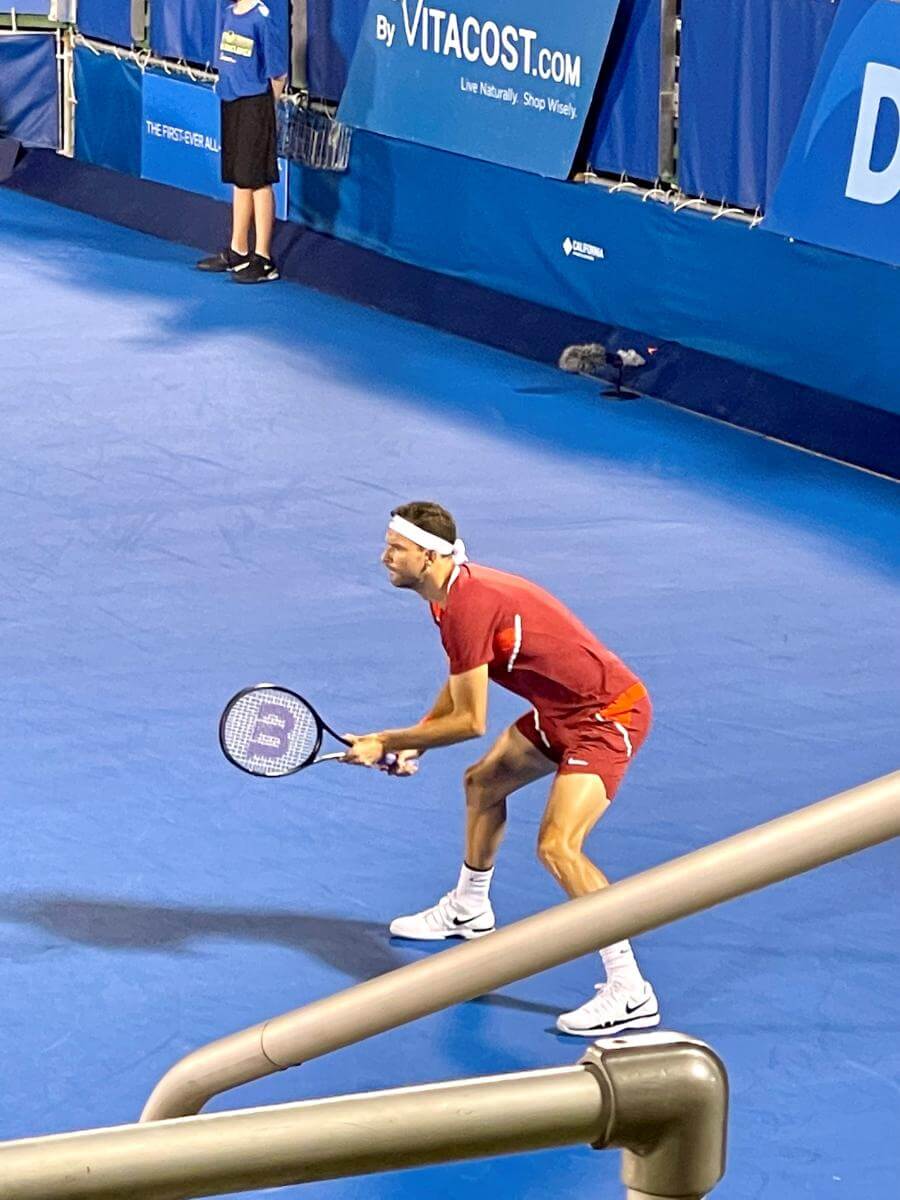 Dimitrov tennis player