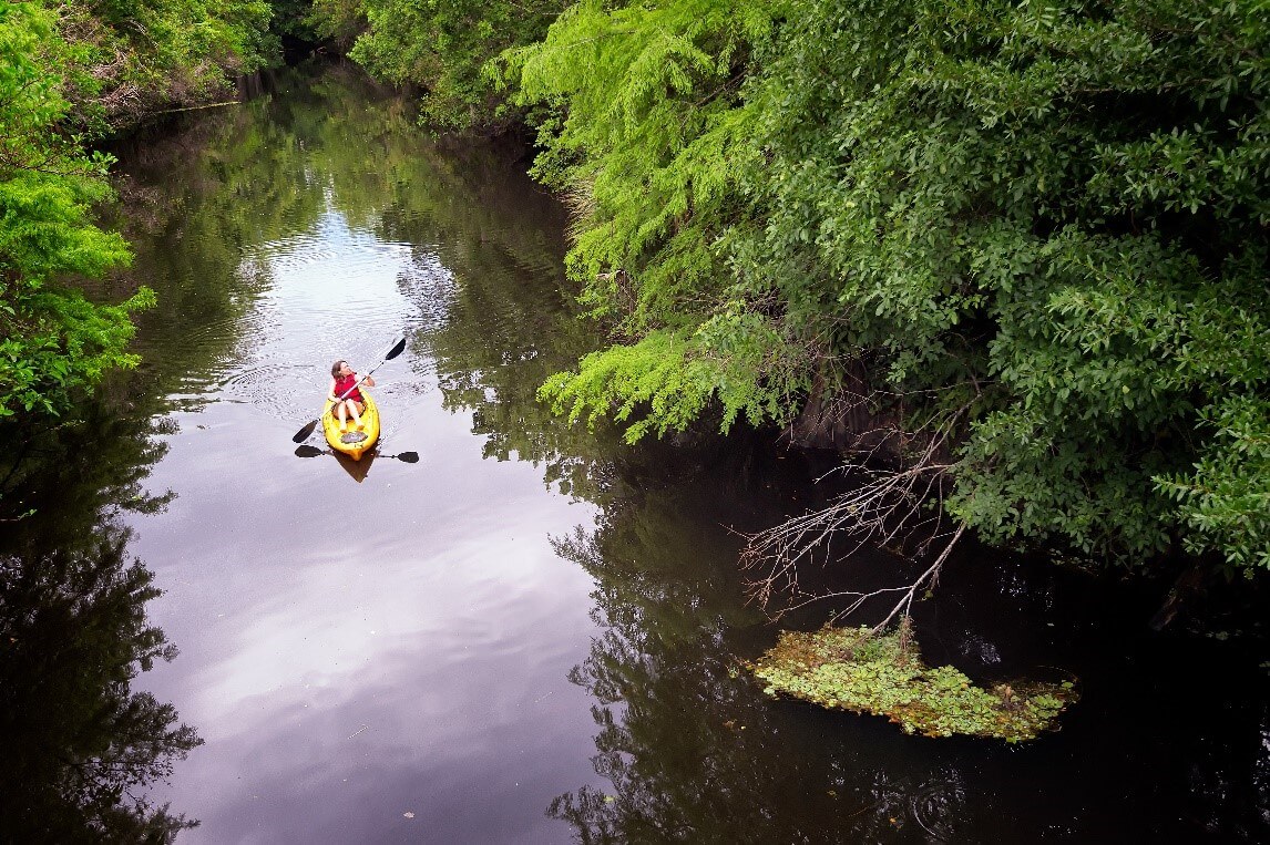 Overhead view of a woman kayaking on Loxahatchee River in Riverbend Park in The Palm Beaches