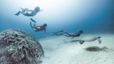 Snorkeling underwater