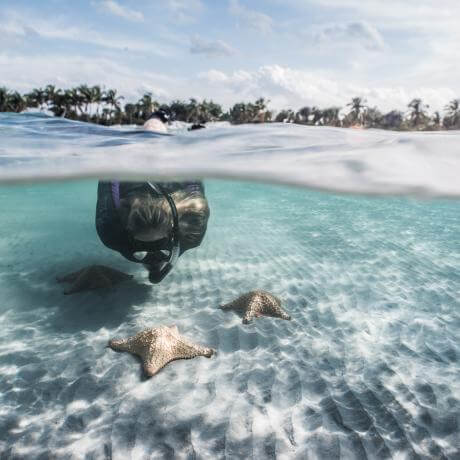 Underwater Snorkel Image