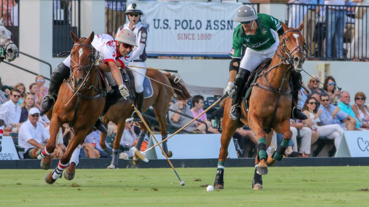 Two polo players on horseback holding mallets