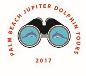 Palm Beach Jupiter Dolphins Tours