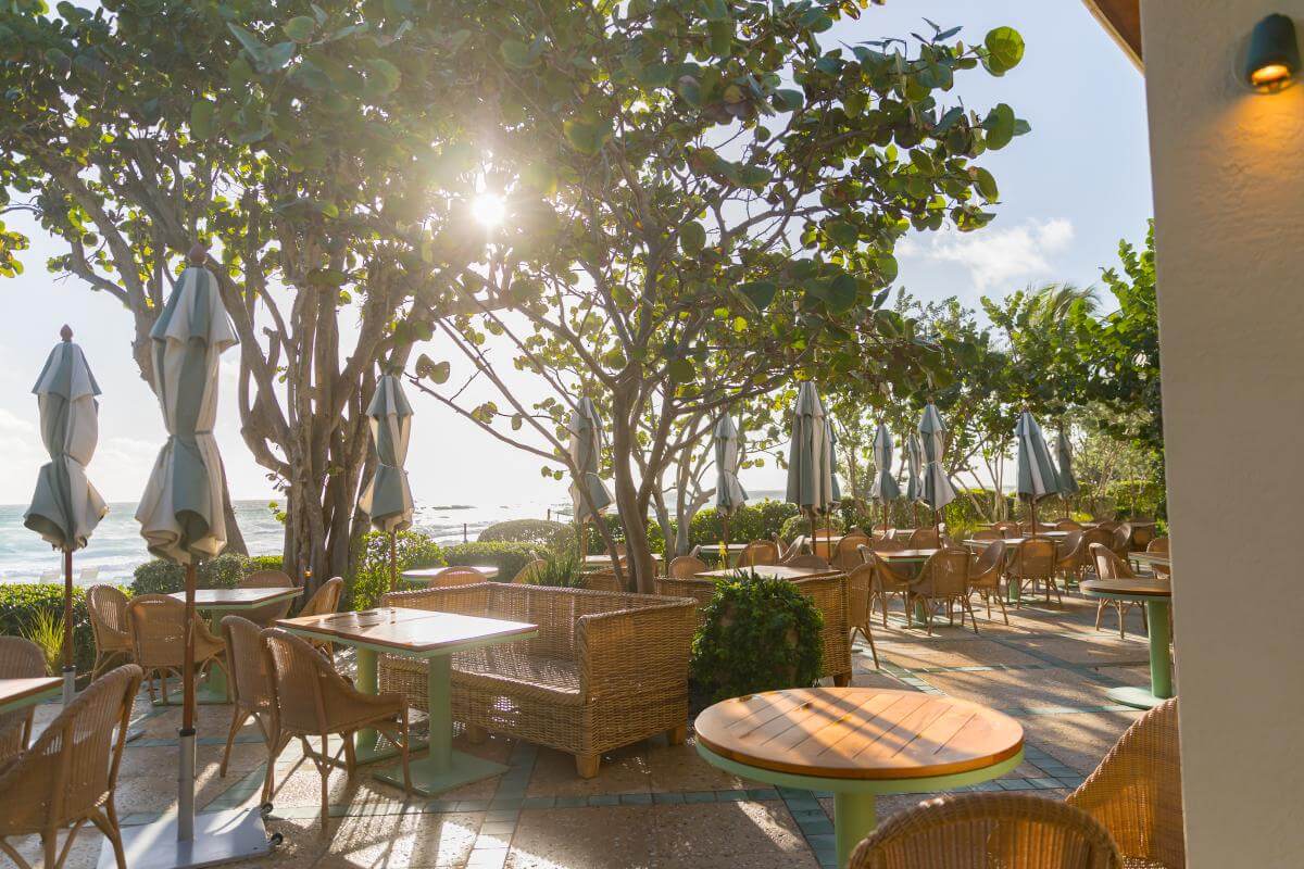 Dine oceanside under a canopy of sea grapes at Seaway restaurant at the Four Seasons Palm Beach