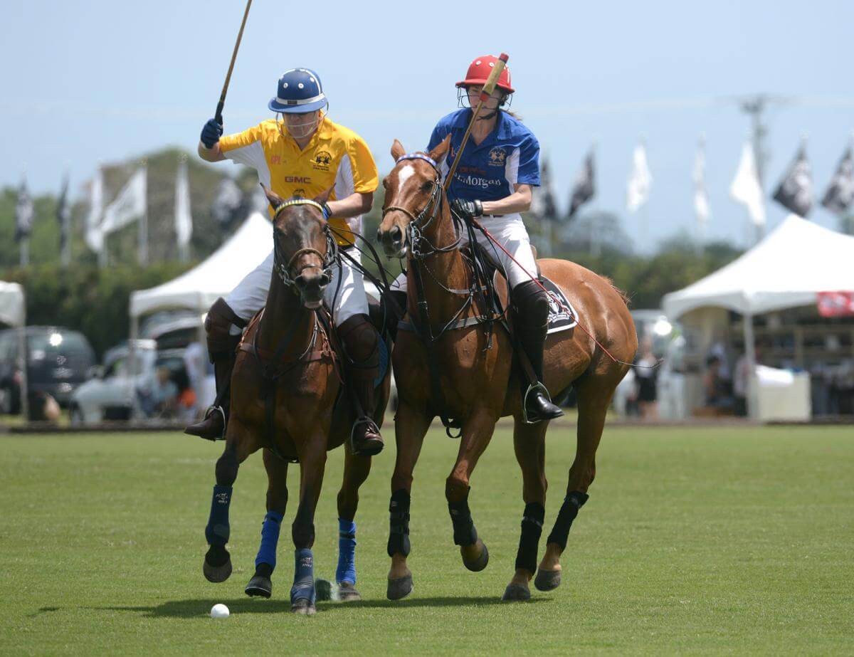 Polo players riding horses