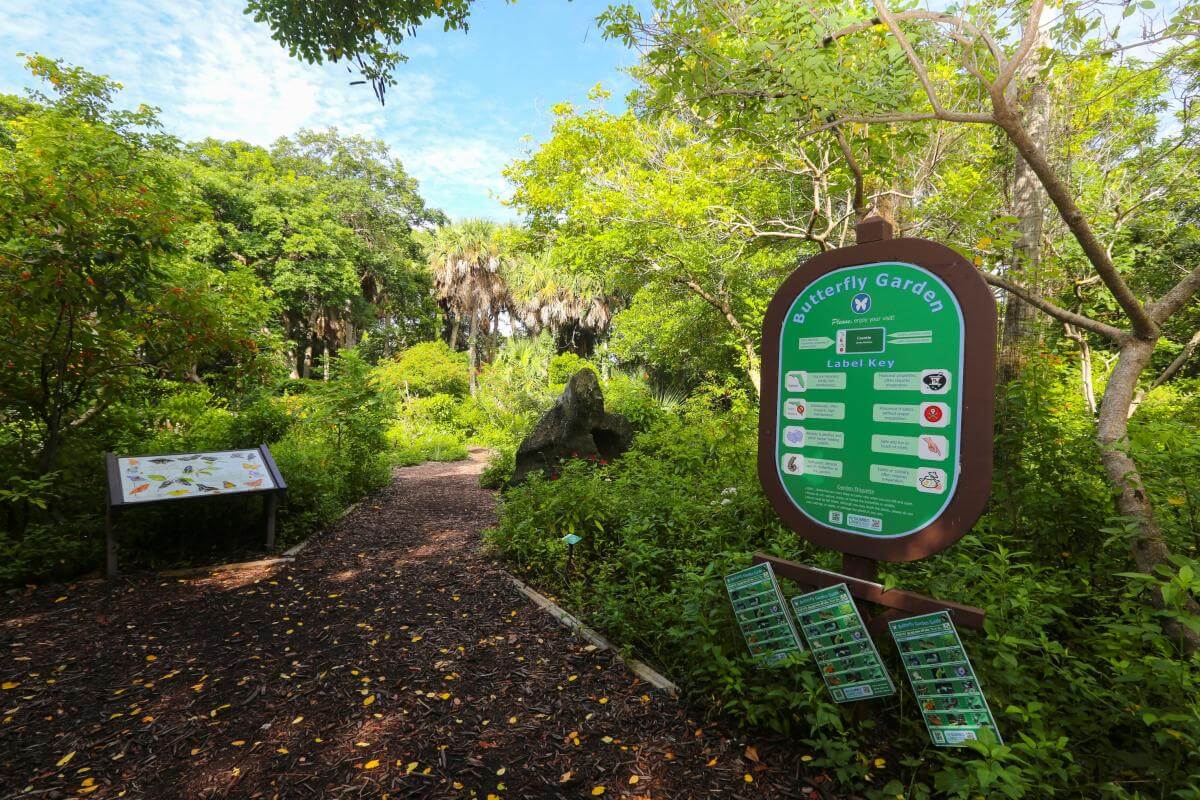 Gumbo Limbo Nature Center - Butterfly Garden