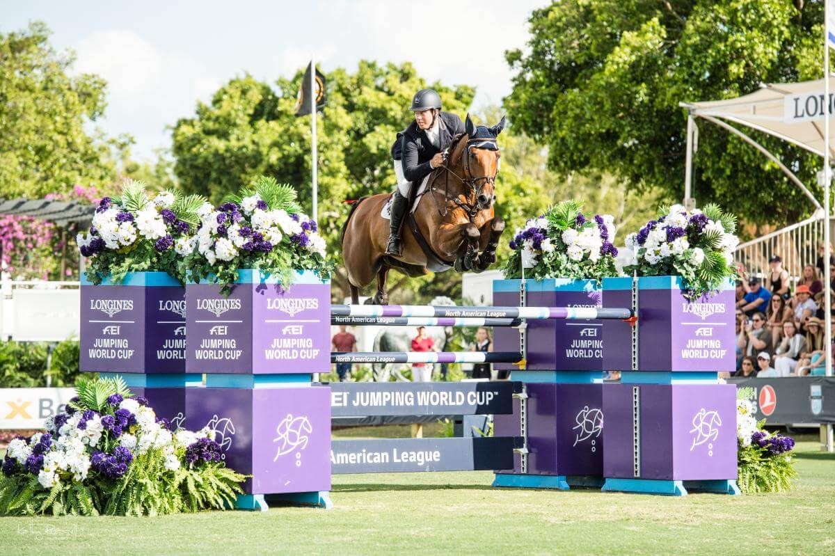 Horse Jumping at Competition