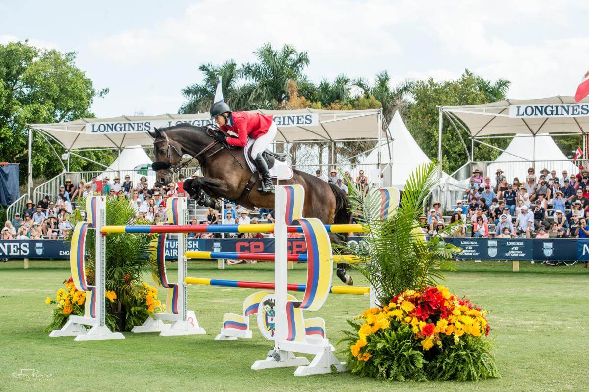 Horse Jumping at Competition