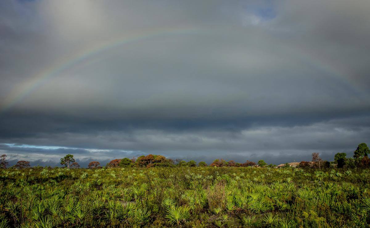 A rainbow over Juno Dunes Natural Area
