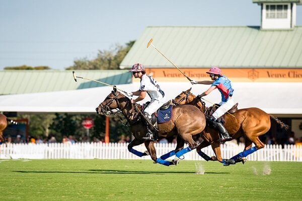 Polo in action