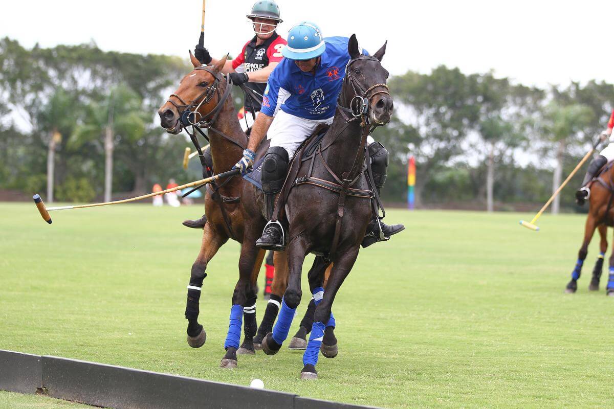 Polo riders in action