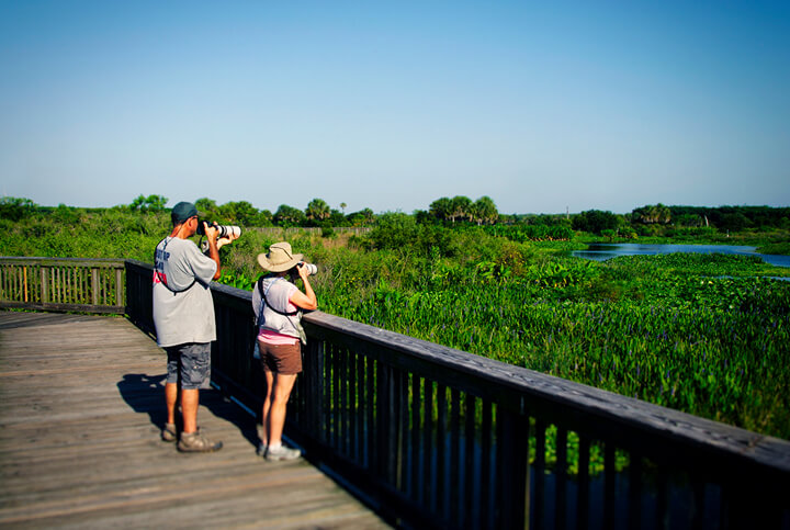 Two people enjoying a the view off a boardwalk trail