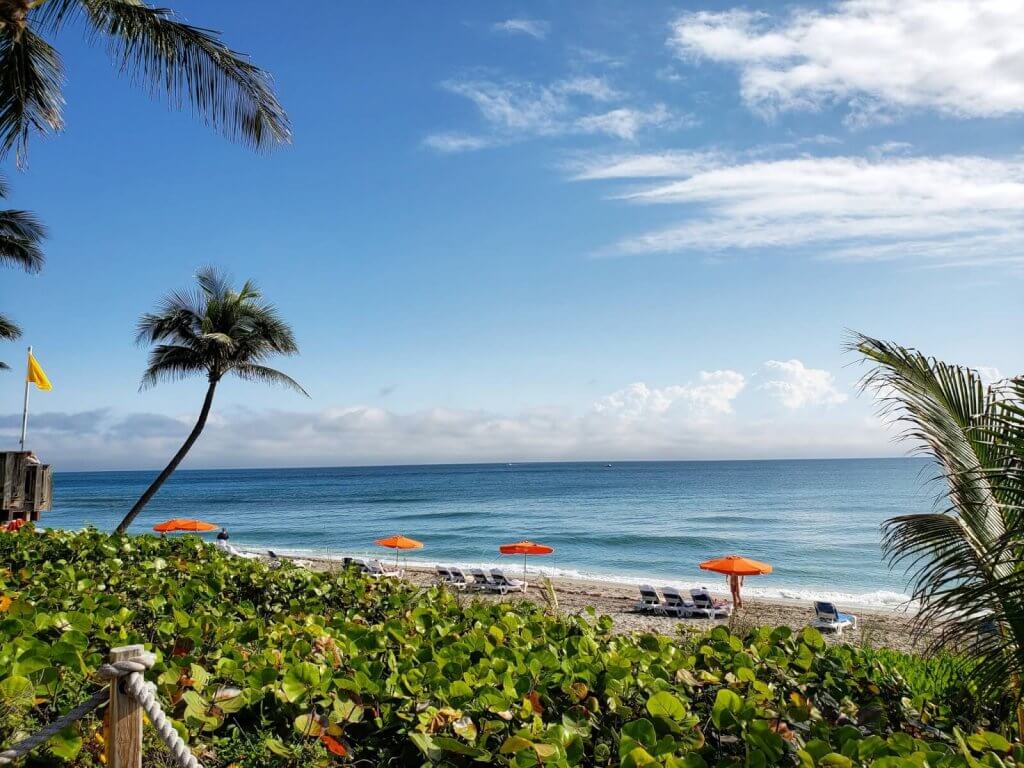 A serene beach scene with lush green vegetation, palm trees, and vibrant orange umbrellas lining the sandy shore under a clear blue sky