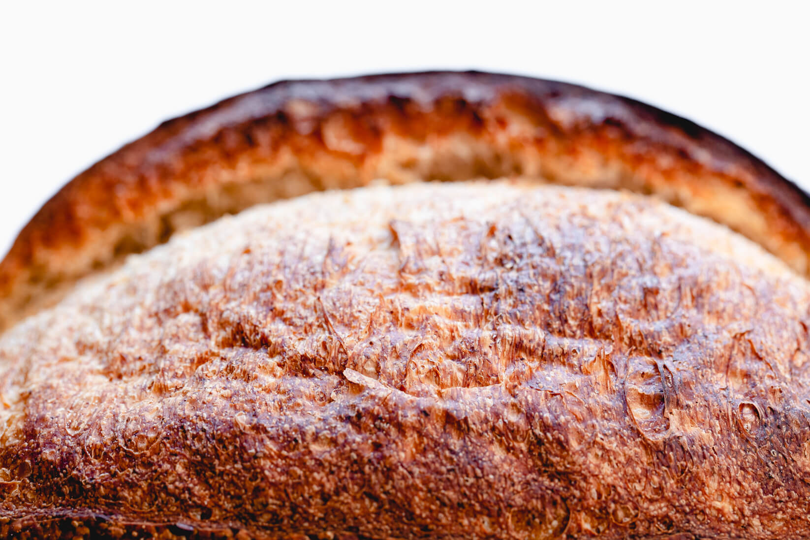 A close-up of a freshly baked loaf of sourdough bread with a golden-brown crust and a soft, airy interior