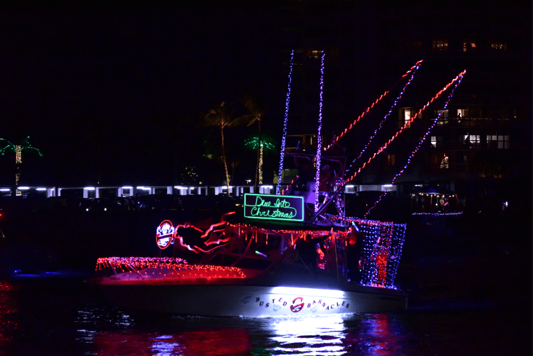 A boat decorated with colorful Christmas lights sails on a dark, calm body of water at night