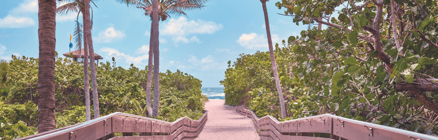 Ressources de la marque The Palm Beaches