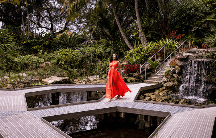 Ressources de la marque The Palm Beaches
