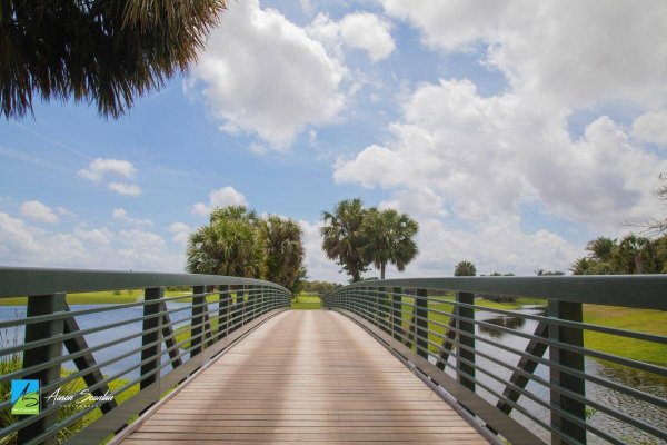 A wooden bridge with a curved railing spans a tranquil pond, surrounded by lush greenery and palm trees under a bright blue sky with fluffy white clouds