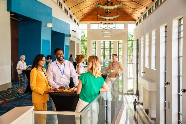 Ressources de la marque The Palm Beaches