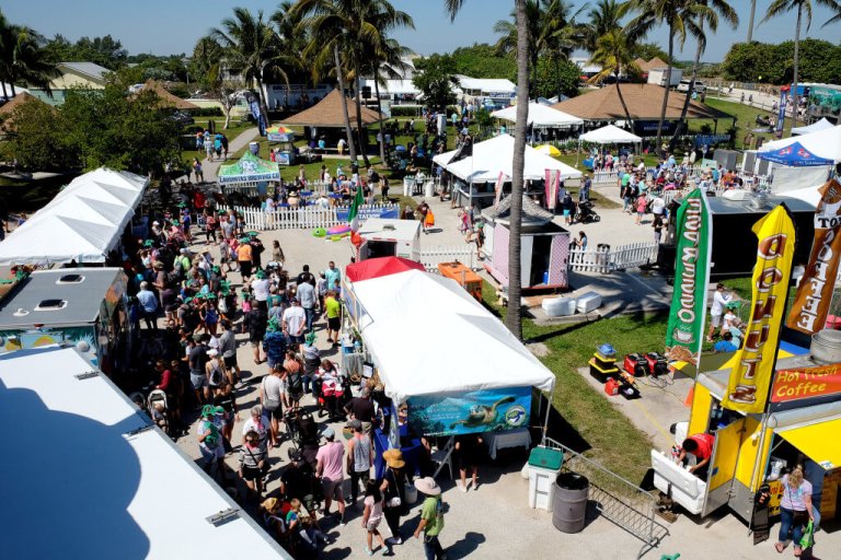 TurtleFest 2024