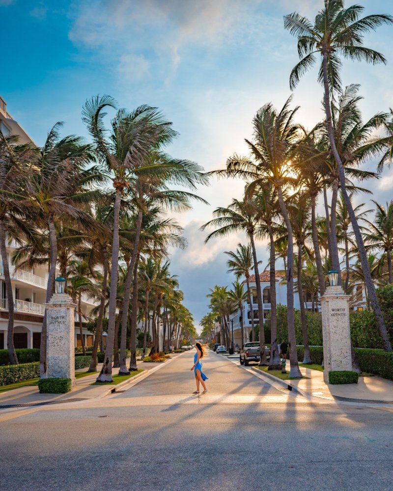 Sitemapcdatahttpscookniqoocombambou Palm Beach Photosnull