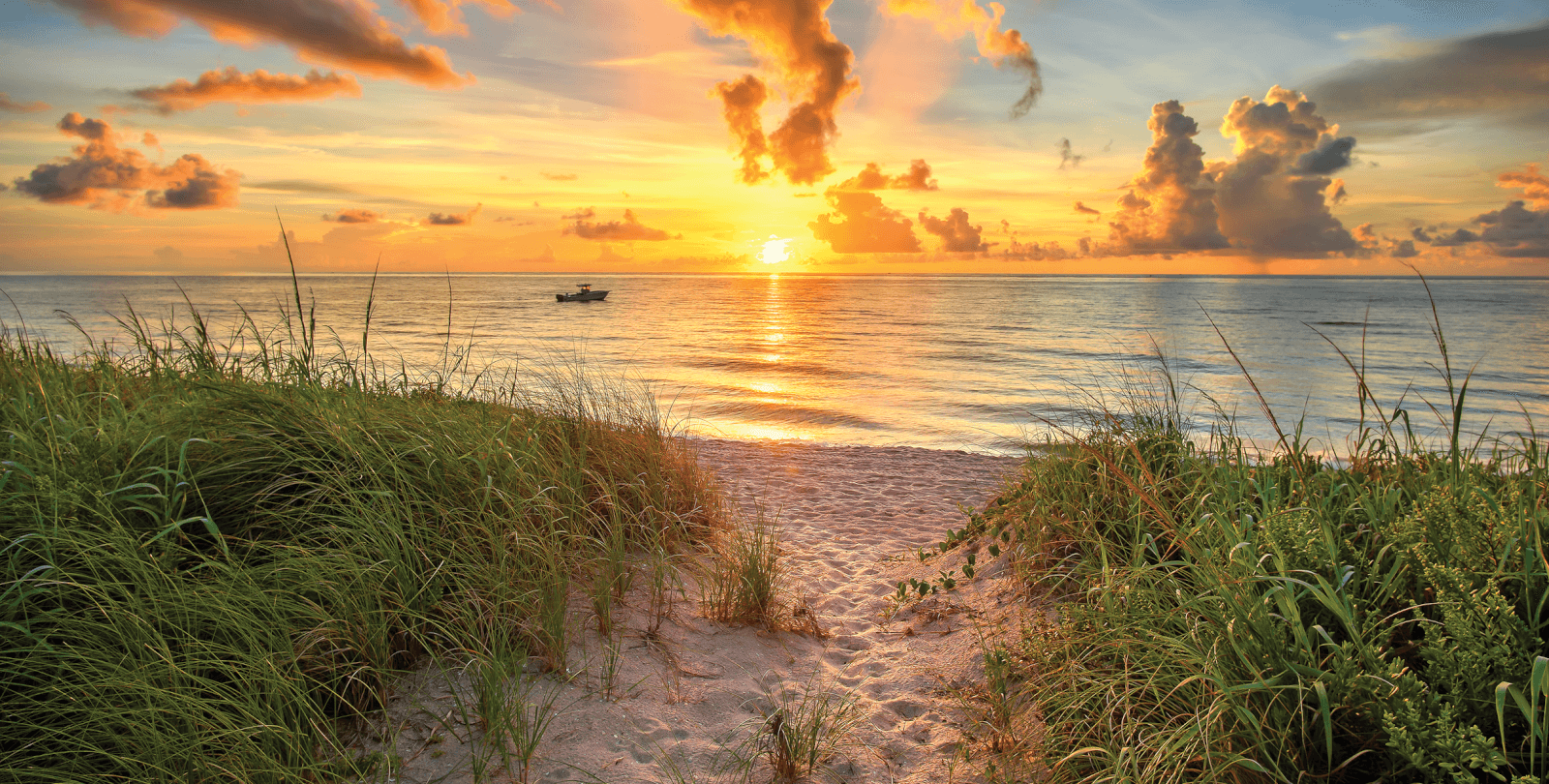 Sea2Preserve-LP-Header-No-Overlay