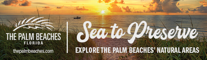 Sustainable Tourism: Eco-Friendly Experiences in The Palm Beaches