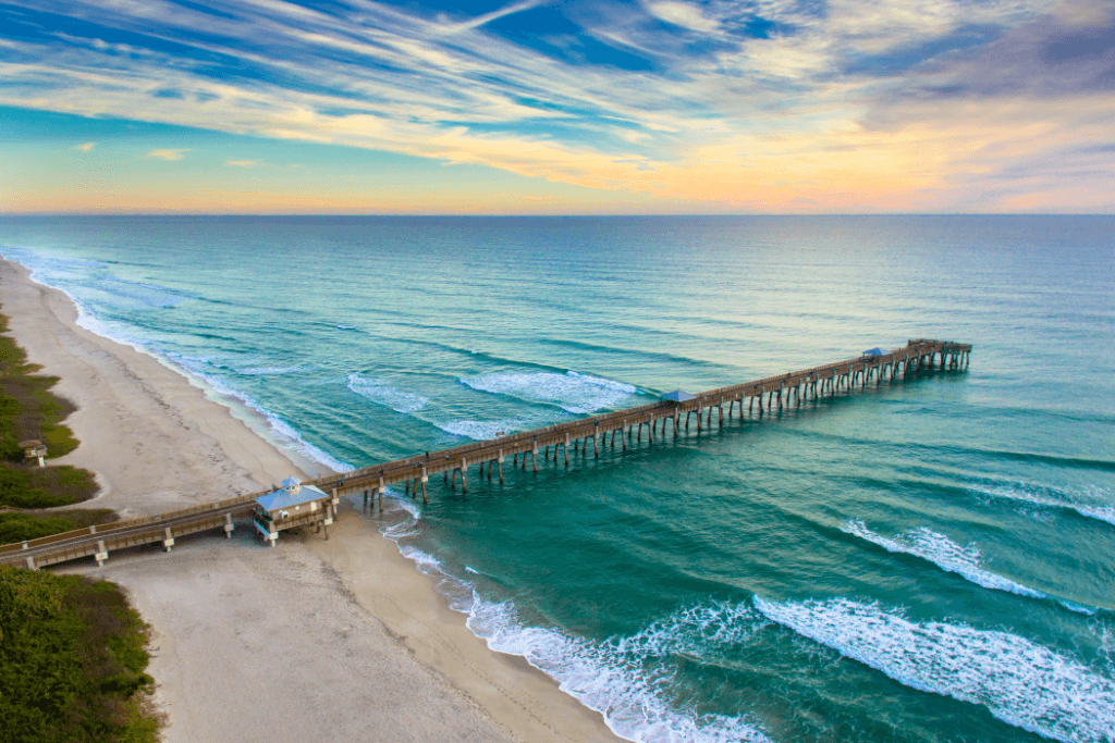 Ressources de la marque The Palm Beaches