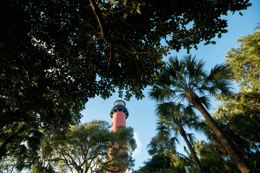 Ressources de la marque The Palm Beaches