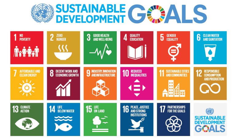 United Nations Sustainable Development Goals