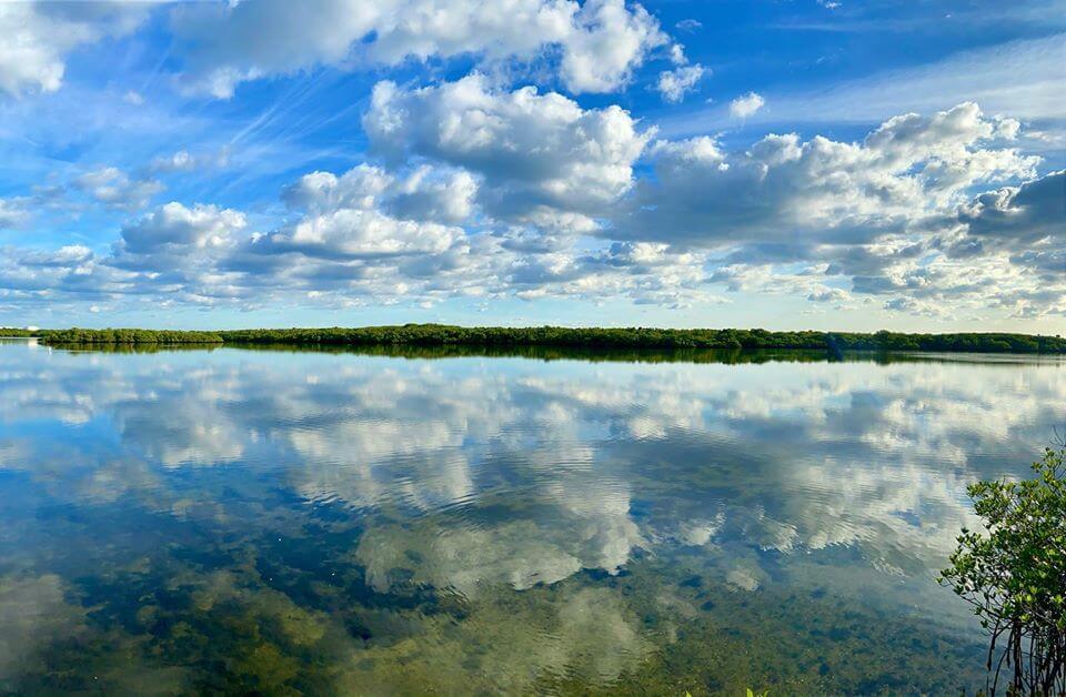 Estuario, Parque Estatal MacArthur Beach