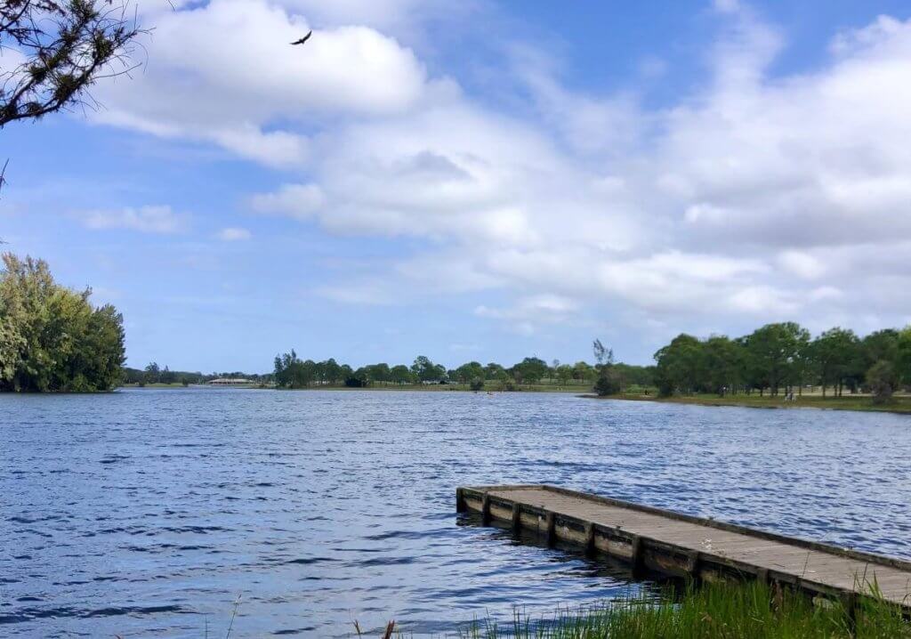 A serene lake with a wooden dock extending into the water, surrounded by lush greenery and a clear blue sky with scattered clouds