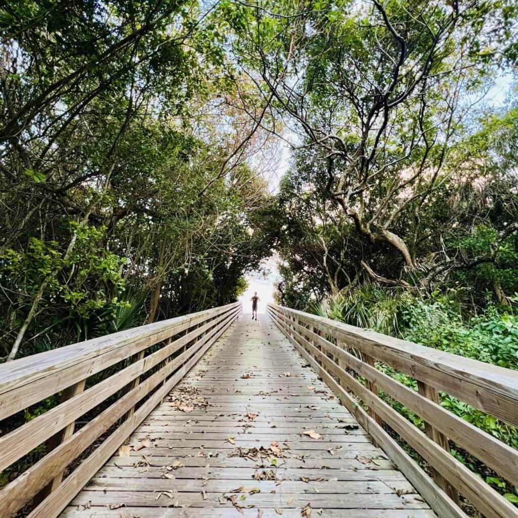 Eine hölzerne Brücke mit Geländer führt durch einen üppigen, grünen Wald zu einer entfernten Gestalt, die sich vom Betrachter entfernt.