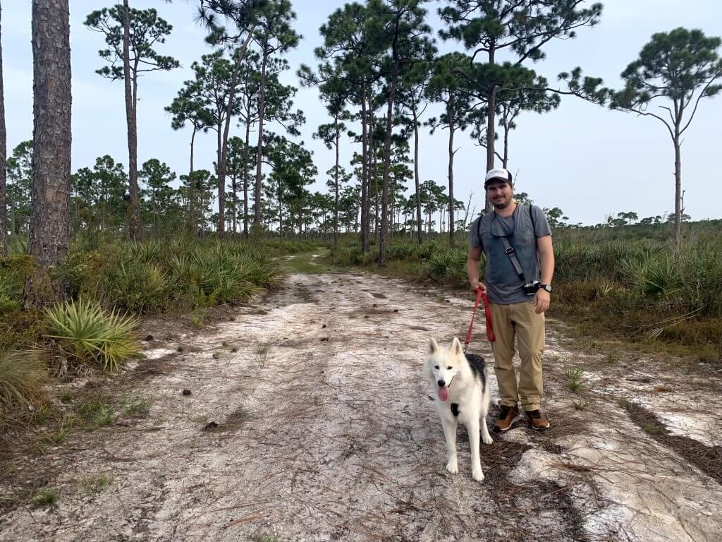 A man and his white and black Siberian Husky dog walk down a dirt path through a pine forest